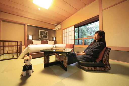 和洋室は防水畳を使用しており愛犬も安心