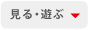 見る・遊ぶ