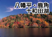 八幡平・鹿角・十和田湖