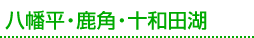 八幡平・鹿角・十和田湖