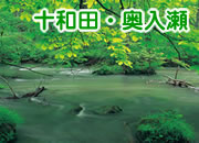 十和田・奥入瀬