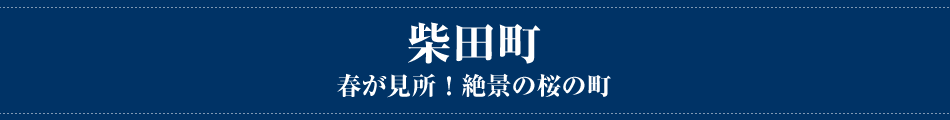 柴田町 春が見所！絶景の桜の町