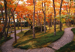秋には美しい紅葉を楽しめる景勝地としても人気