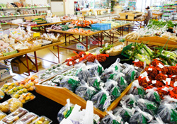 直売所では秩父の新鮮野菜が豊富に揃う