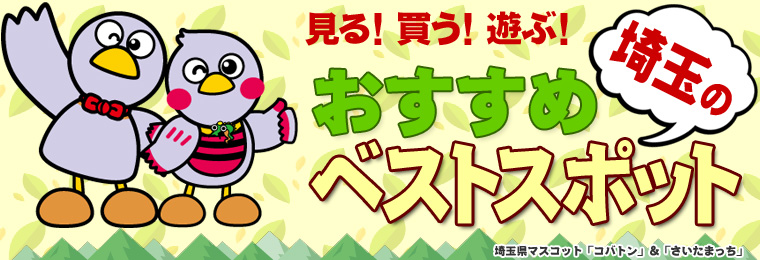 見る！買う！遊ぶ！埼玉のおすすめベストスポット