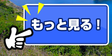 もっと見る！