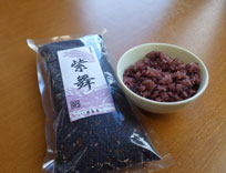 白馬村の特産品「紫米」