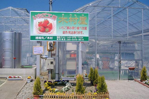 雨の日でも舗装された道路から車椅子のまま園内に入れる