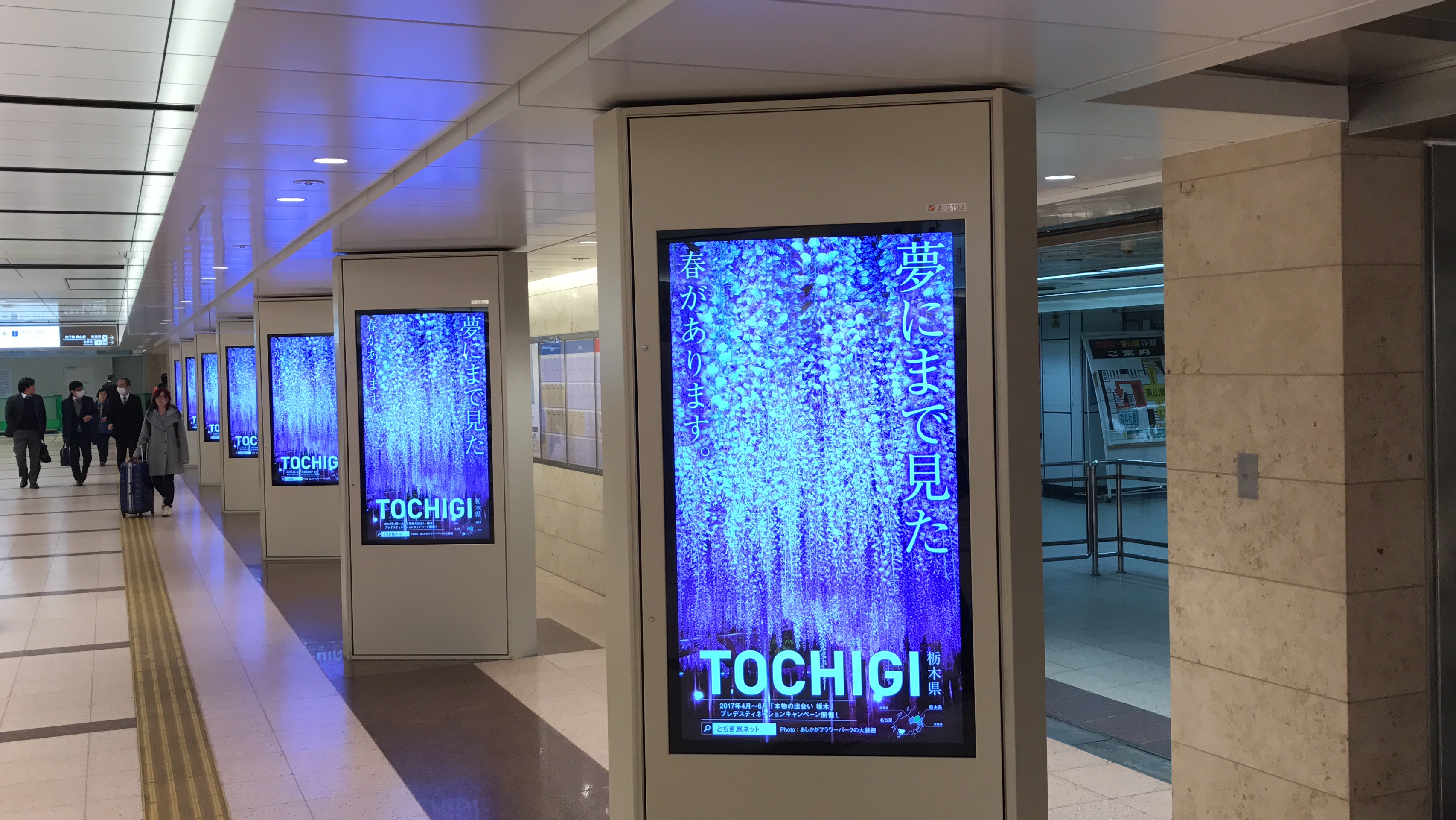 北関東三県広域観光推進協議会様 国内消費者向け観光prイベント デイリー インフォメーション