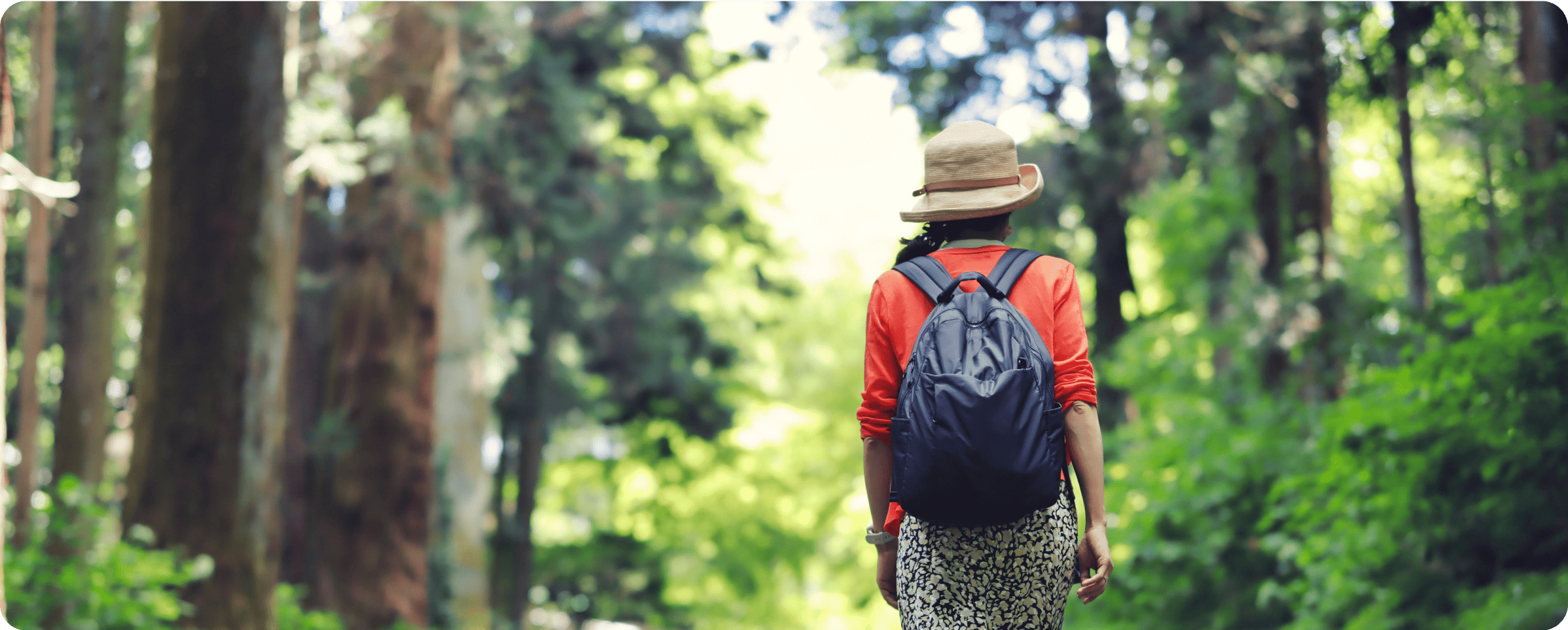 国内誘客・観光プロモーション事業