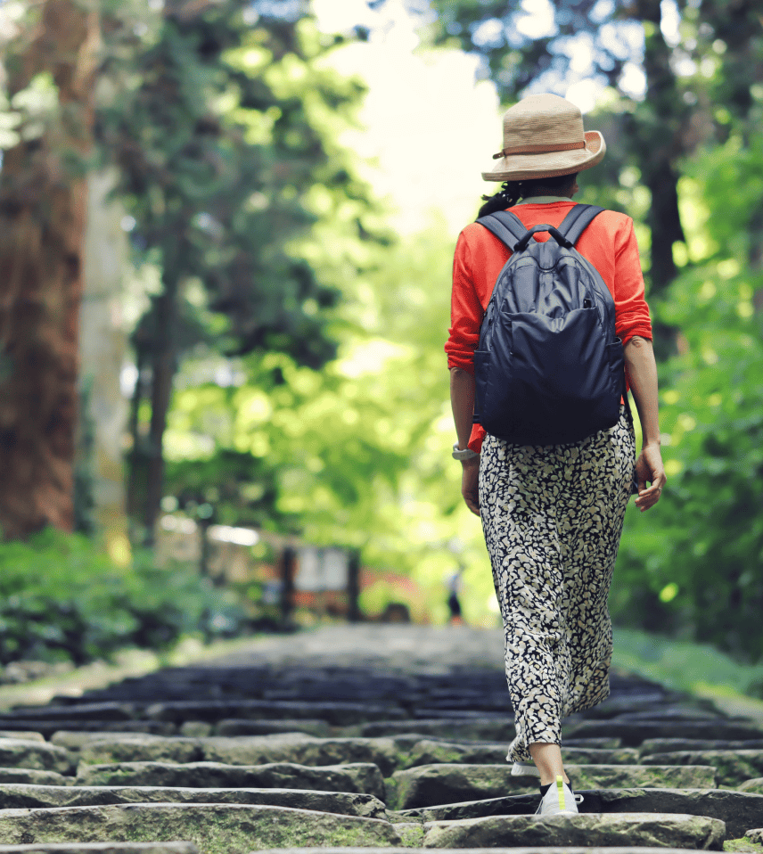 国内誘客・観光プロモーション事業